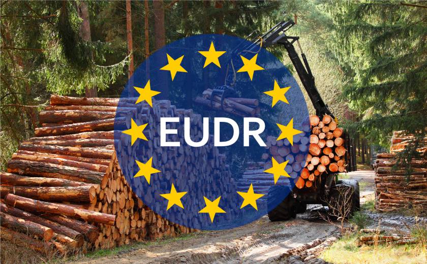 Die EUDR und ihre Auswirkungen auf die nachhaltige Nutzung von Ladungsträgern aus Holz