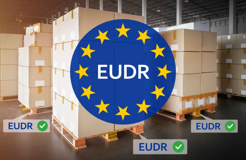 Kaufen Sie Holzpaletten? Alles, was Sie über die EUDR-Verordnung wissen müssen
