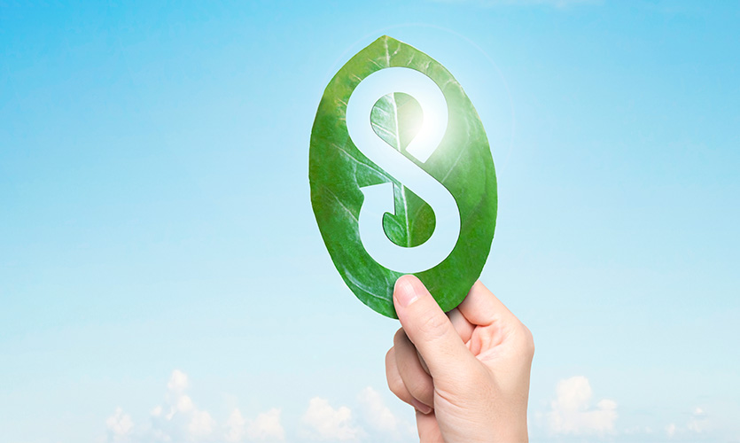 Grüne Logistik ohne Slogans - Trends und Fakten im Jahr 2026