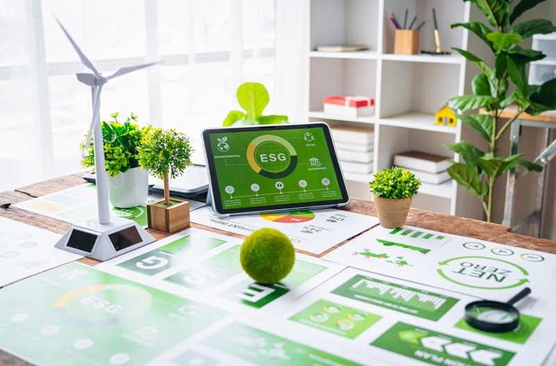 Warum Rotom eine Nachhaltigkeitsmanagerin hat