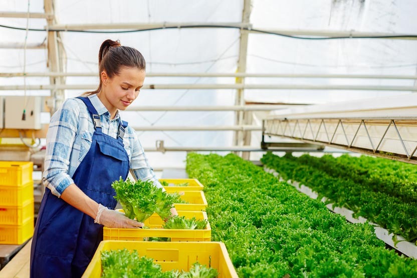 Kümmern Sie sich um Ihre Pflanzen - erfahren Sie mehr über Container, Karren und andere landwirtschaftliche Lösungen
