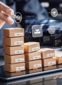 Der ultimative Leitfaden für den Palettenkauf im B2B-Bereich: Wählen Sie die richtige Palette für Ihre Lieferkette