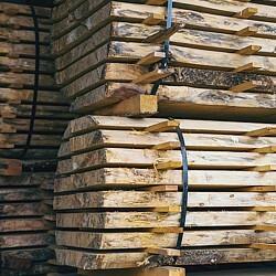 Dramatische Lage des Holzmarktes verschärft sich weiter