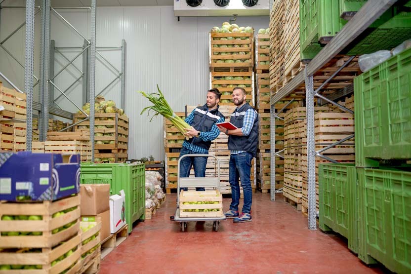 Openwork Holzkisten und Kunststoffkisten sorgen für die notwendige Belüftung von Gemüse und Obst.